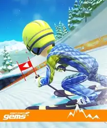 Ski Race cover