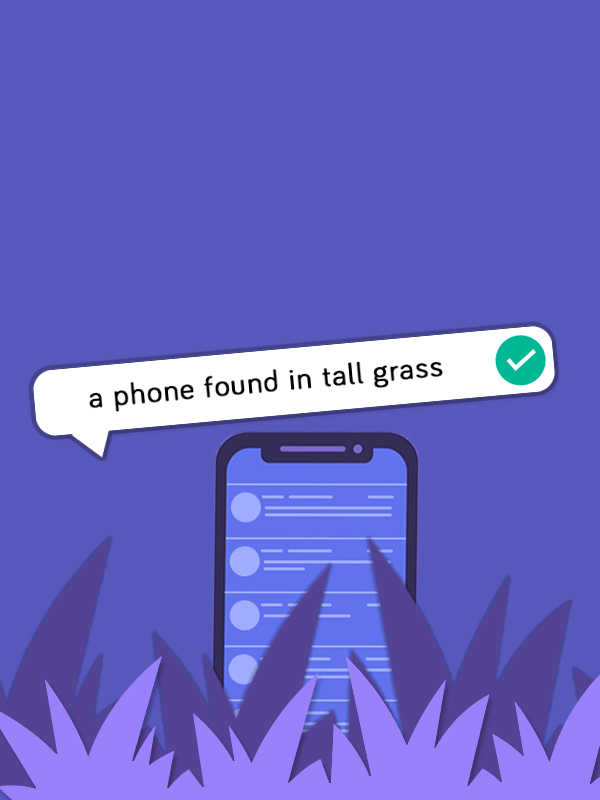 A Phone Found in Tall Grass cover