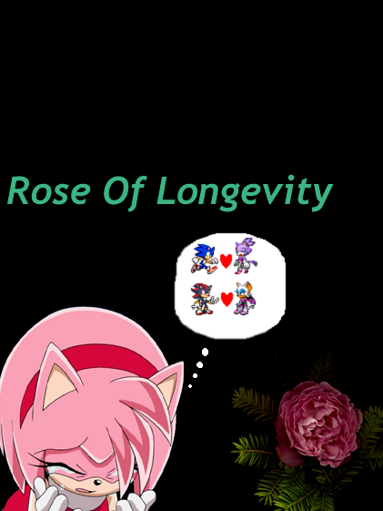 Rose of Longevity