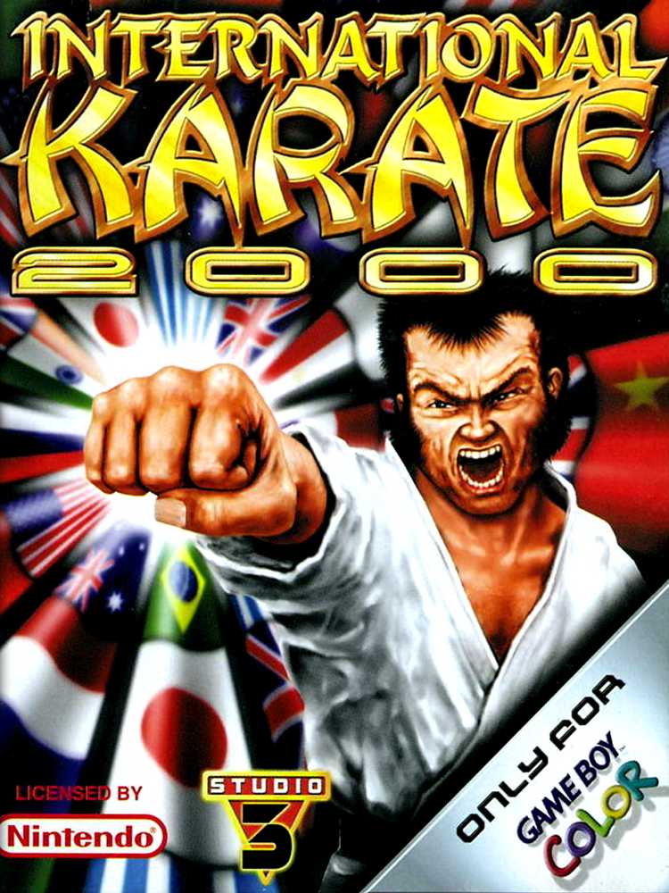 International Karate 2000 cover