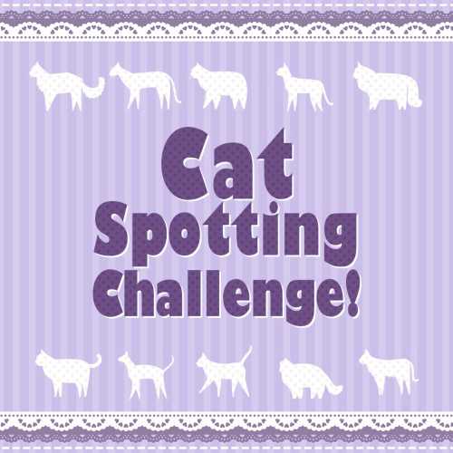 Cat Spotting Challenge! cover
