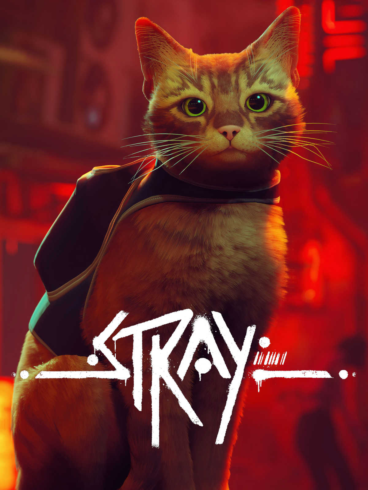 Stray cover