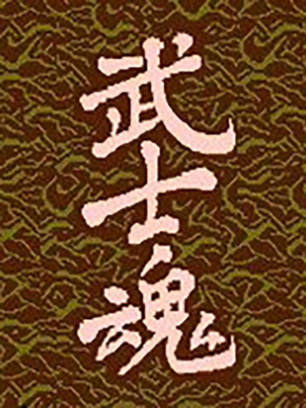 Wu Shi Hun cover