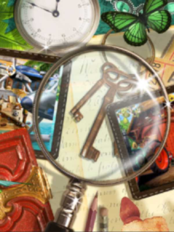 100% Hidden Objects