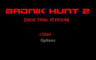 Badnik Hunt 2