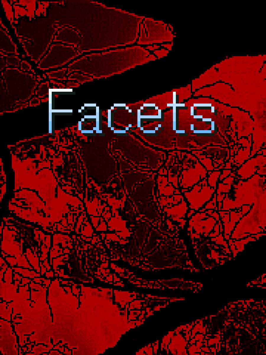 Facets cover