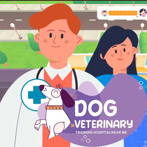 Dog Veterinary: Training Hospital Near Me cover