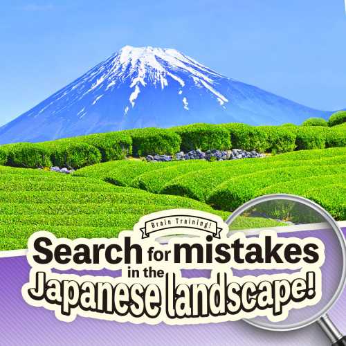 Train Your Brain! Spot the Difference with Japanese landscapes cover