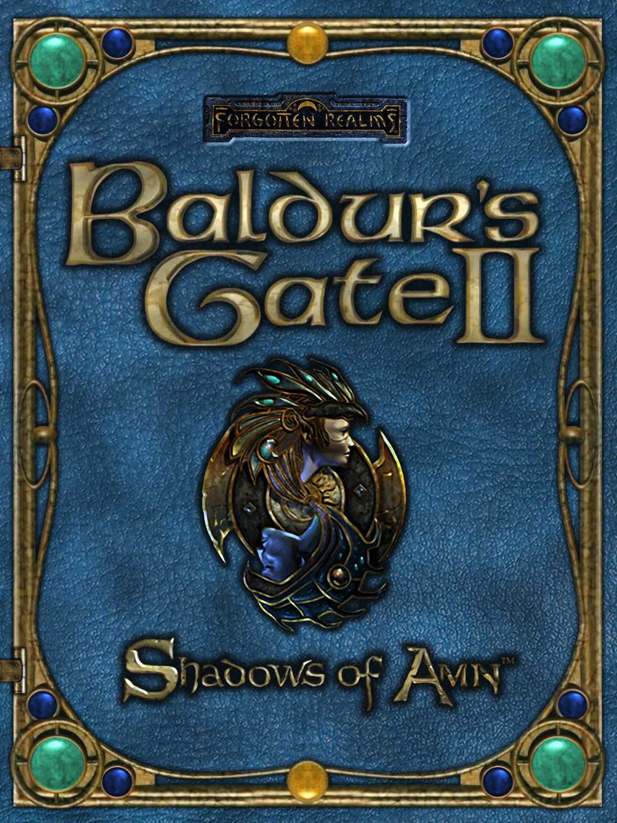 Baldur's Gate II: Shadows of Amn cover