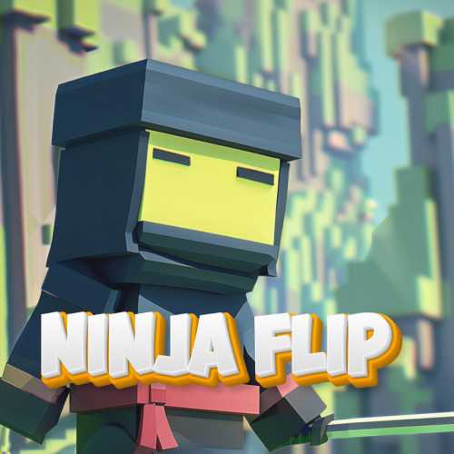 Ninja Flip cover