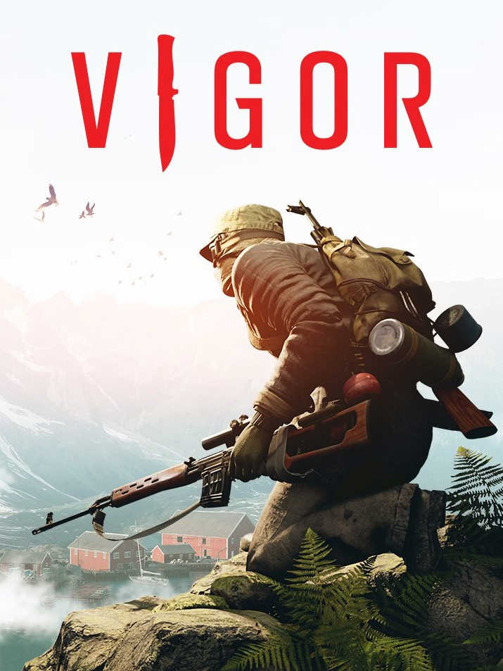 Vigor cover