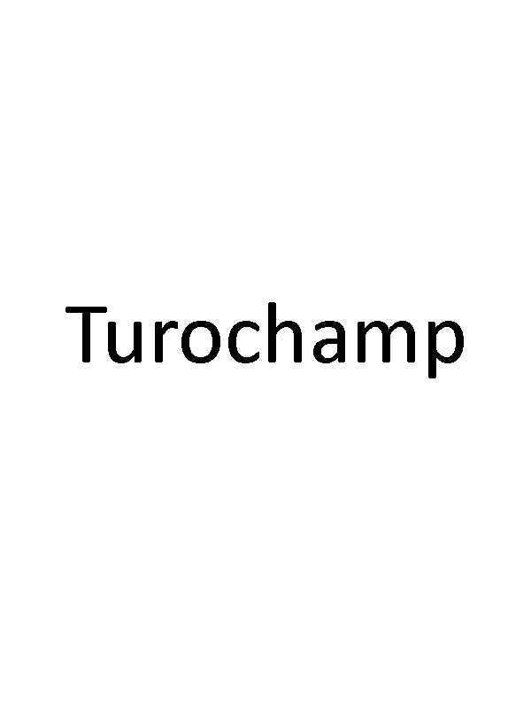 Turochamp cover