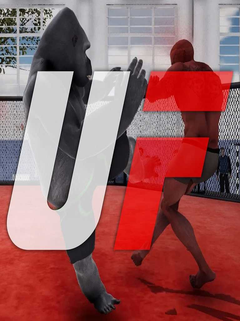 Ufight cover