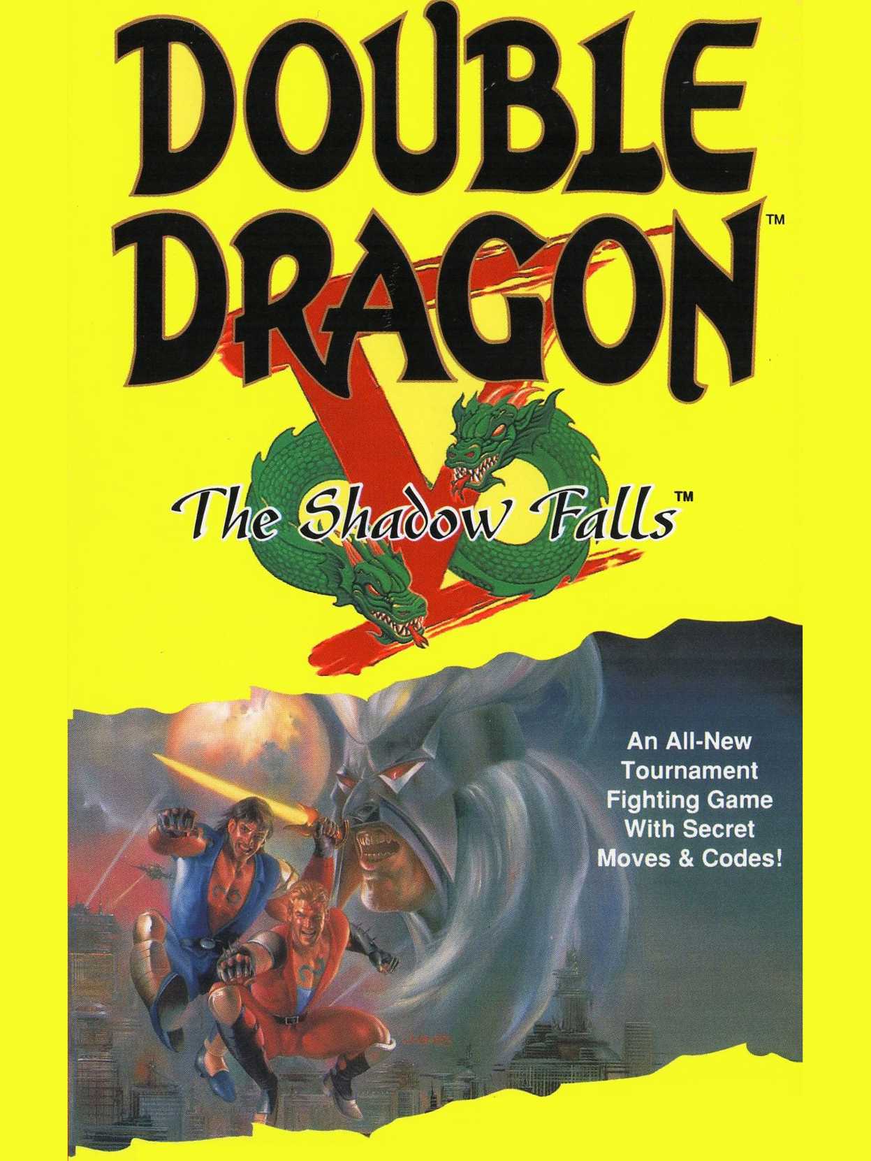 Double Dragon V: The Shadow Falls cover