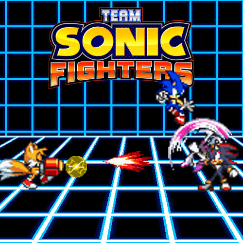 Team Sonic Fighters