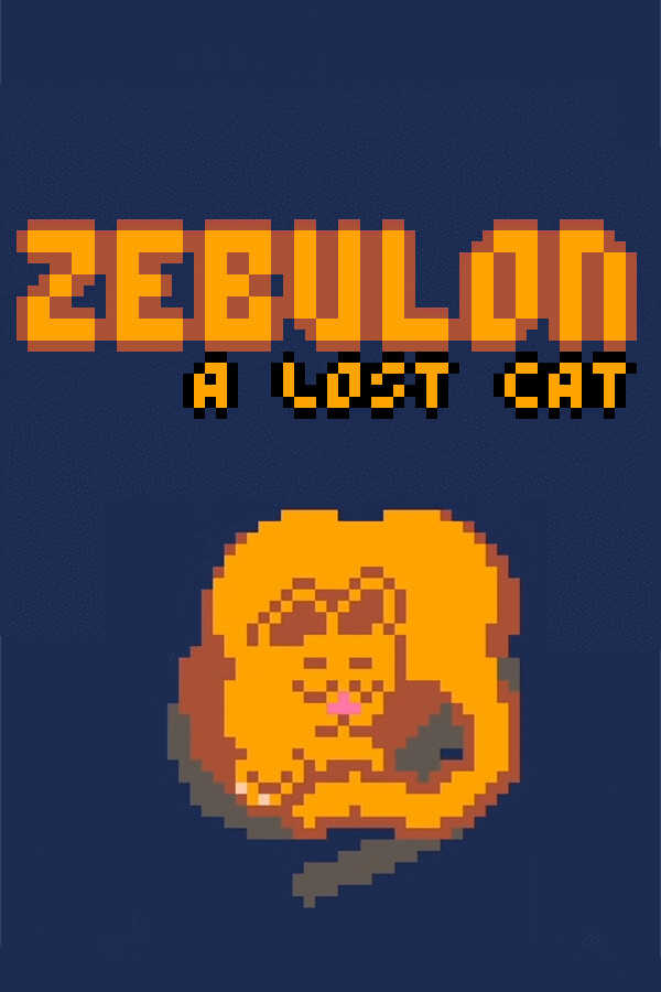 Zebulon: A Lost Cat