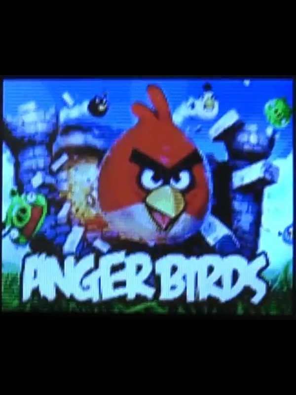 Anger Birds cover