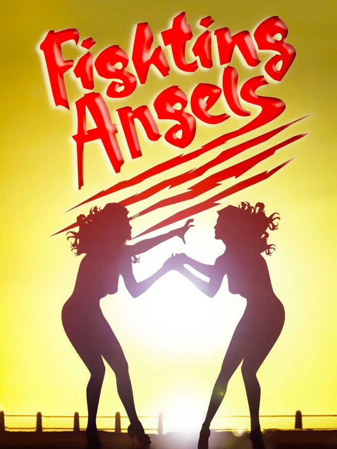 Fighting Angels cover