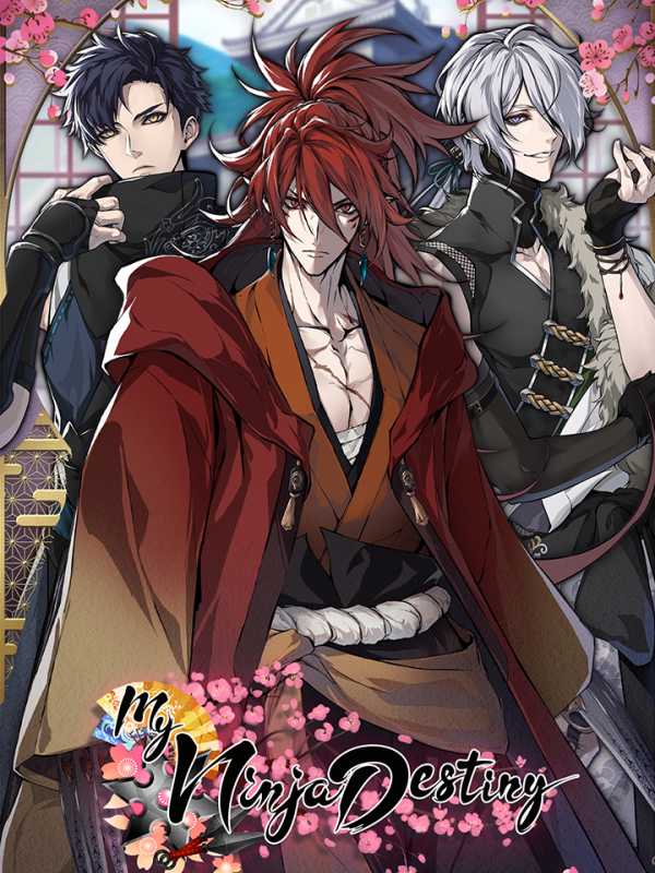 My Ninja Destiny