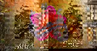 Surface: The Noise She Couldn't Make