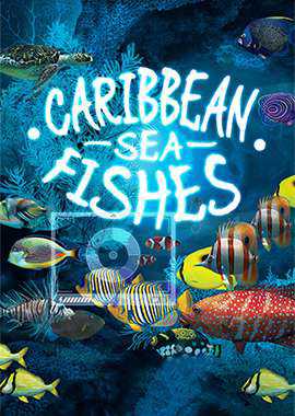 Caribbean Sea Fishes
