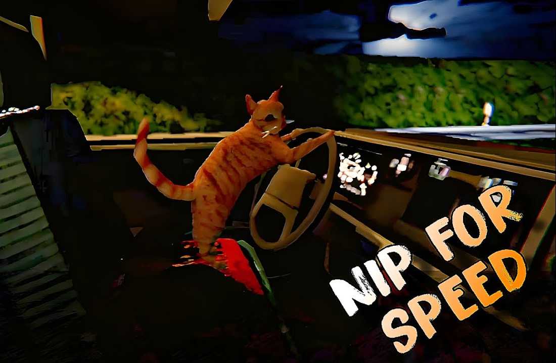 Nip For Speed