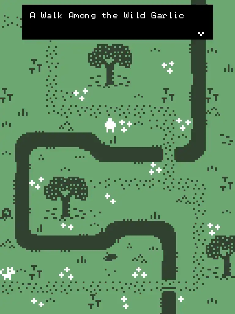 A Walk Among the Wild Garlic