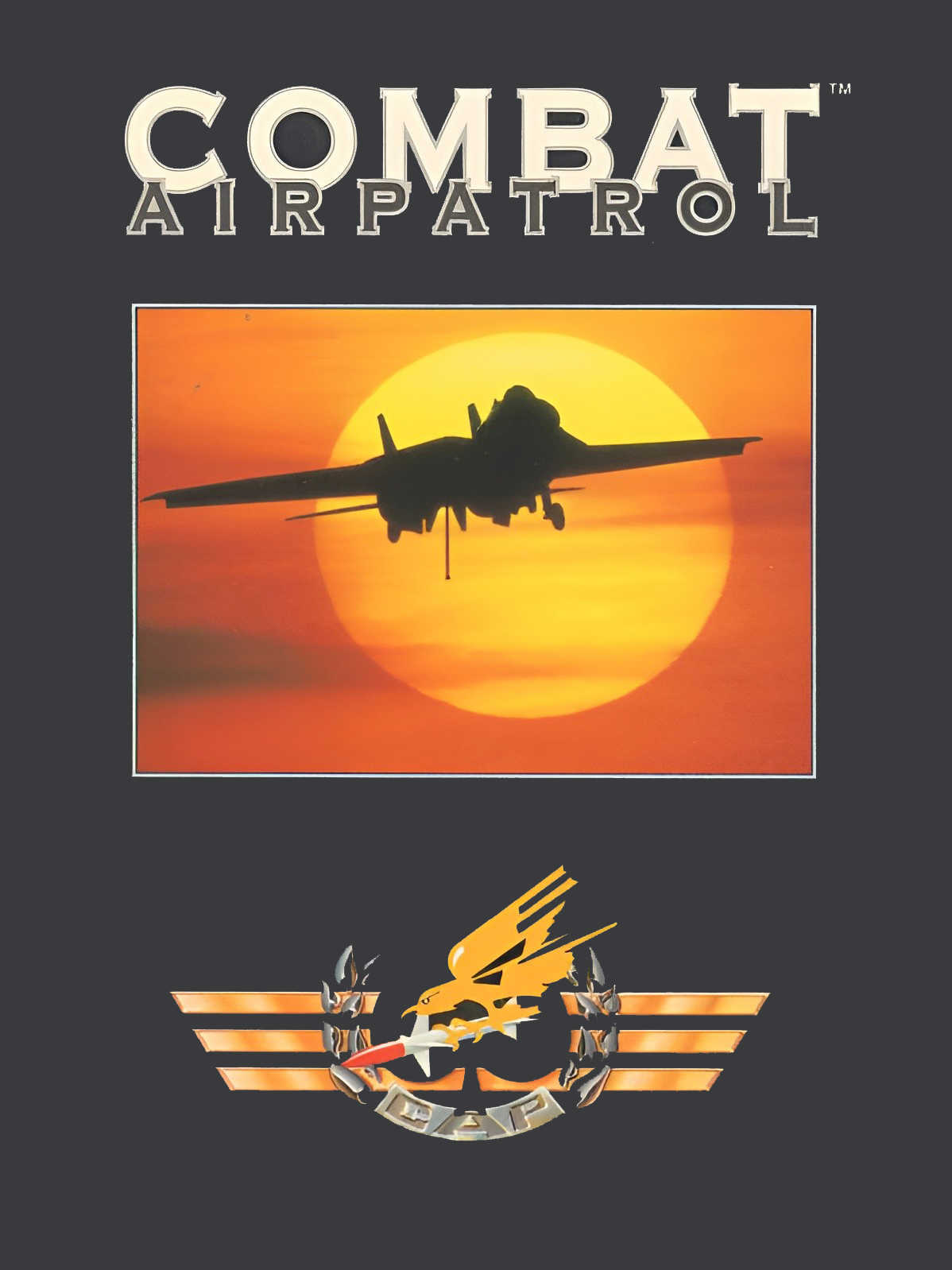 Combat Air Patrol