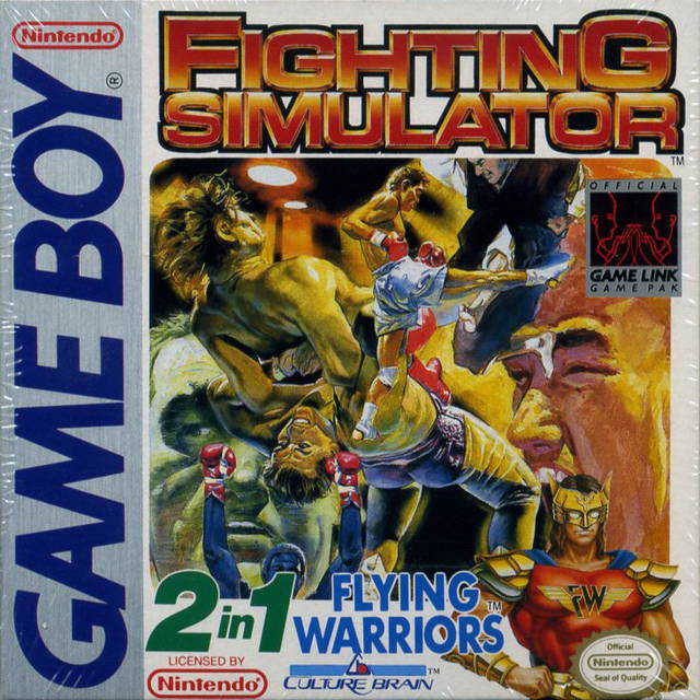 Fighting Simulator: 2 in 1 Flying Warriors