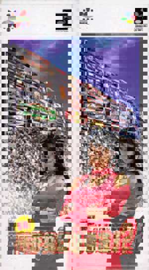 Jissen Pachi-Slot Hisshouhou! 2